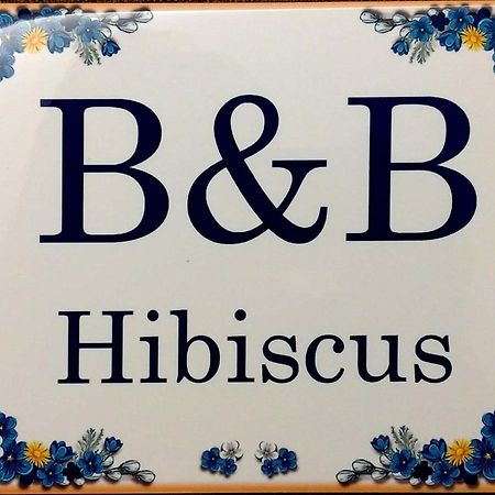 B&B Hibiscus Porto SantʼElpidio 外观 照片