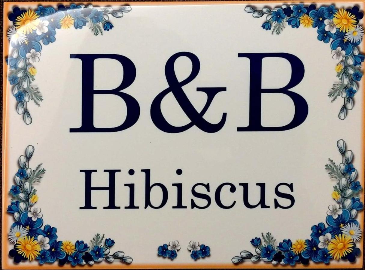 B&B Hibiscus Porto SantʼElpidio 外观 照片